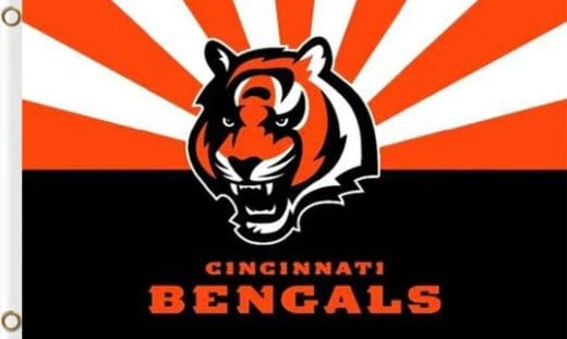 Cincinnati Bengals Flag 3X5 Ft Polyester Banner USA 90x150cm