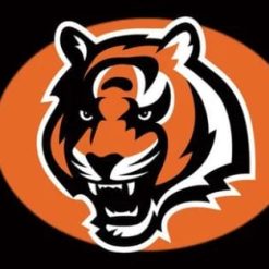 Cincinnati Bengals Football Flag 3X5 Ft Polyester Banner USA 90x150cm