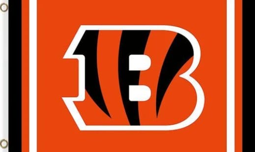 Cincinnati Bengals Logo Two Strip Flag 3X5 Ft Polyester Banner USA 90x150cm