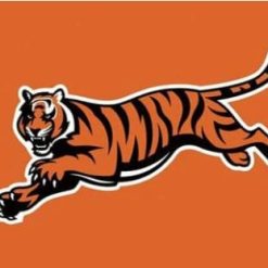 Cincinnati Bengals National Flag 3X5 Ft Polyester Banner USA 90x150cm