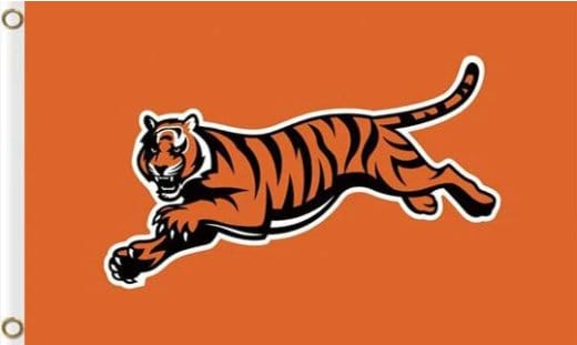 Cincinnati Bengals National Flag 3X5 Ft Polyester Banner USA 90x150cm