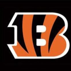 Cincinnati Bengals Sport Flag 3X5 Ft Polyester Banner USA 90x150cm