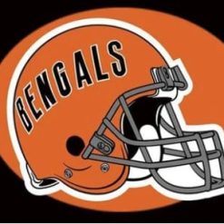 Cincinnati Bengals Team Flag 3X5 Ft Polyester Banner USA 90x150cm