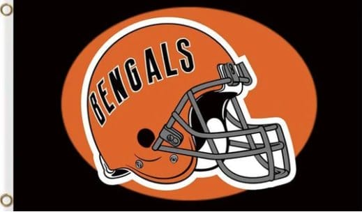 Cincinnati Bengals Team Flag 3X5 Ft Polyester Banner USA 90x150cm