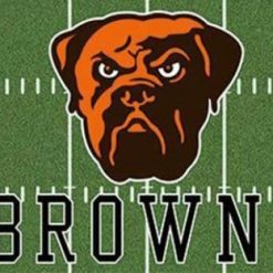 Cleveland Browns Green Flag 3X5 Ft Polyester Banner USA 90x150cm