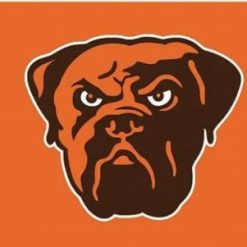 Cleveland Browns Logo Two Strip Flag 3X5 Ft Polyester Banner USA 90x150cm