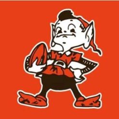 Cleveland Browns National Football Logo Flag 3X5 Ft Polyester Banner USA 90x150cm