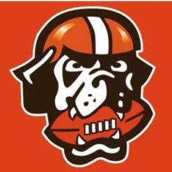 Cleveland Browns Team Flag 3X5 Ft Polyester Banner USA 90x150cm