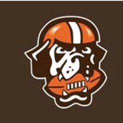 Cleveland Browns Team Sport US Flag 3X5 Ft Polyester Banner USA 90x150cm