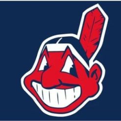 Cleveland Indians Baseball Club flag 3X5Ft Banner USA Polyester with Brass Grommets