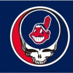 Cleveland Indians Dead Skull Blue flag 3X5Ft Banner USA Polyester with Brass Grommets