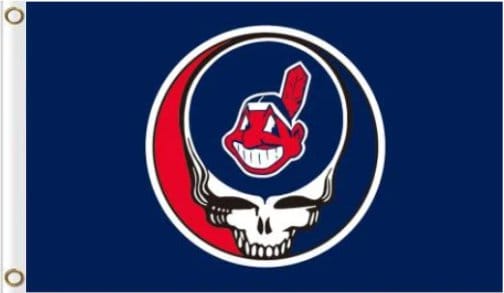 Cleveland Indians Dead Skull Blue flag 3X5Ft Banner USA Polyester with Brass Grommets