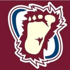 Colorado Avalanche Flag 3X5Ft Polyester Digital Print Banner USA