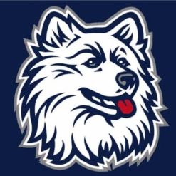Connecticut Huskies Hand Flag 3X5ft Banner Polyester with 2 Brass Grommets