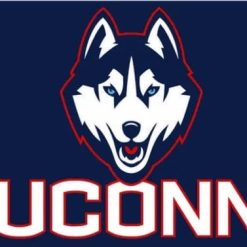 Connecticut Huskies Hand USA Flag 3X5ft Banner Polyester with 2 Brass Grommets
