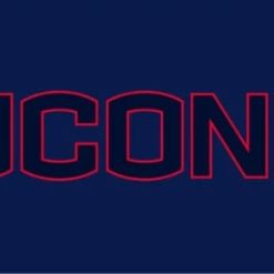 Connecticut Huskies Logo Sport Flag 3X5ft Banner USA Polyester with 2 Brass Grommets
