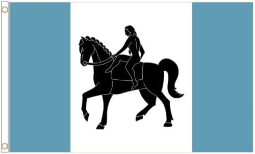 Coventry City Polyester White Flag 3x5ft Banner Polyester