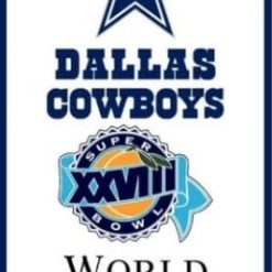 Dallas Cowboys World Champions 1993 Flag 3X5 Ft Polyester Banner USA 90x150cm