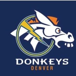 Denver Broncos Football Flag 3X5 Ft Polyester Banner USA 90x150cm