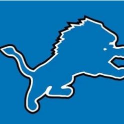 Detroit Lions Logo Two Strip Sport Flag 3X5 Ft Polyester Banner USA 90x150cm