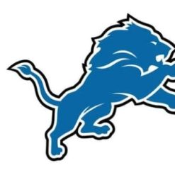 Detroit Lions Team Flag 3X5 Ft Polyester Banner USA 90x150cm