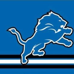 Detroit Lions Three Lines Flag 3X5 Ft Polyester Banner USA 90x150cm