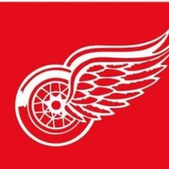 Detroit Red Wings Custom Flag 3X5Ft Polyester Digital Print Banner USA