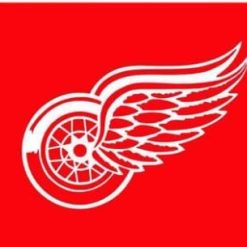 Detroit Red Wings Team Flag 3X5Ft Polyester Digital Print Banner USA