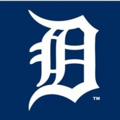 Detroit Tigers Baseball Club White-Blue Flag 3X5Ft Banner USA Polyester with Brass Grommets