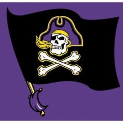 East Carolina Pirates Club USA Flag 3X5ft Banner USA Polyester with 2 Brass Grommets