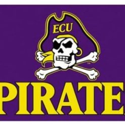 East Carolina Pirates Sport Flag 3X5ft Banner USA Polyester with 2 Brass Grommets