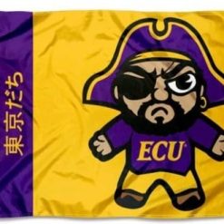 East Carolina Pirates USA Flag 3X5ft Banner USA Polyester with 2 Brass Grommets