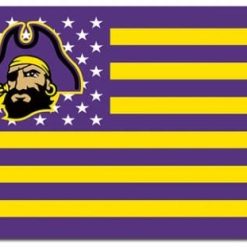 East Carolina Pirates USA Sport Flag 3X5ft Banner USA Polyester with 2 Brass Grommets