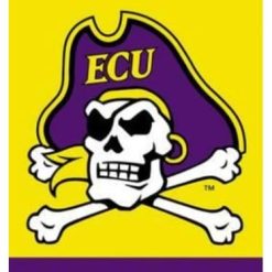 East Carolina Pirates Yellow Flag 3X5ft Banner USA Polyester with 2 Brass Grommets