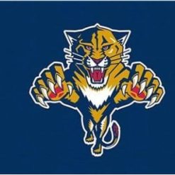 Florida Panthers Custom Flag 3X5Ft Polyester Digital Print Banner USA