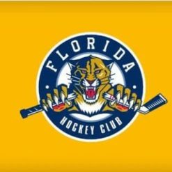 Florida Panthers Flag 3X5Ft Polyester Digital Print Banner USA