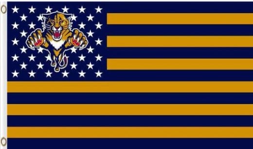 Florida Panthers Star Flag 3X5Ft Polyester Digital Print Banner USA