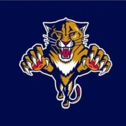 Florida Panthers Team Blue Flag 3X5Ft Polyester Digital Print Banner USA