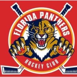 Florida Panthers Team Flag 3X5Ft Polyester Digital Print Banner USA