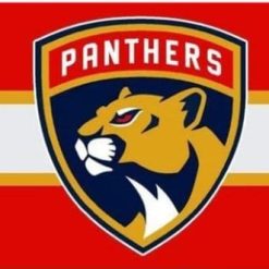 Florida Panthers Team US Flag 3X5Ft Polyester Digital Print Banner USA