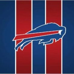 Hemlet Buffalo Blue Flag 3X5 Ft Polyester Banner USA 90x150cm