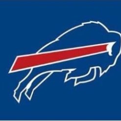 Hemlet Buffalo Two Strip Flag 3X5 Ft Polyester Banner USA 90x150cm