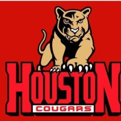 Houston Cougars Helmet Red USA Flag 3X5ft Banner Polyester with 2 Brass Grommets