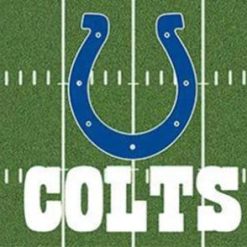 Indianapolis Colts Green Flag 3X5 Ft Polyester Banner USA 90x150cm