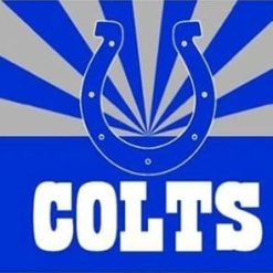 Indianapolis Colts Team Flag 3X5 Ft Polyester Banner USA 90x150cm