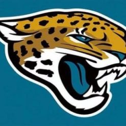 Jacksonville Jaguars Logo Stripe Flag 3X5 Ft Polyester Banner USA 90x150cm