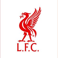 Liverpool Flag - 1 flag 3ft x 5ft double side & 2 Flags