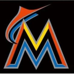 Miami Marlins Americana flag 3X5Ft Banner USA Polyester with Brass Grommets