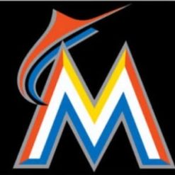Miami Marlins Black US flag 3X5Ft Banner USA Polyester with Brass Grommets