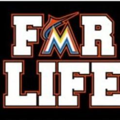 Miami Marlins For Life flag 3X5Ft Banner USA Polyester with Brass Grommets